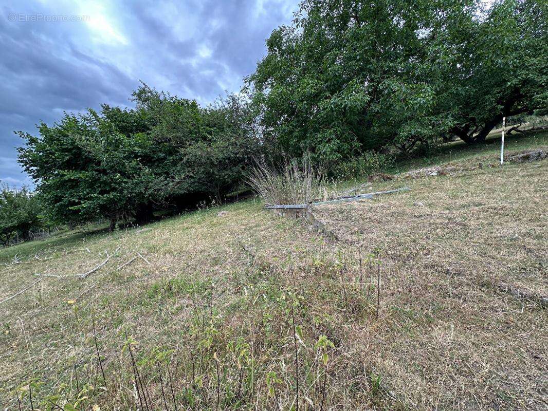 Terrain à SOULTZ-HAUT-RHIN