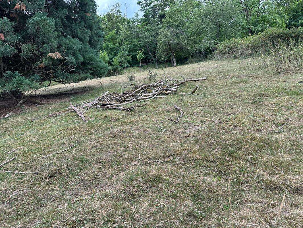 Terrain à SOULTZ-HAUT-RHIN