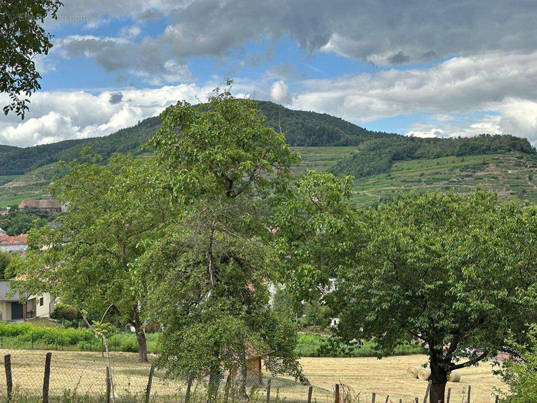 Terrain à SOULTZ-HAUT-RHIN