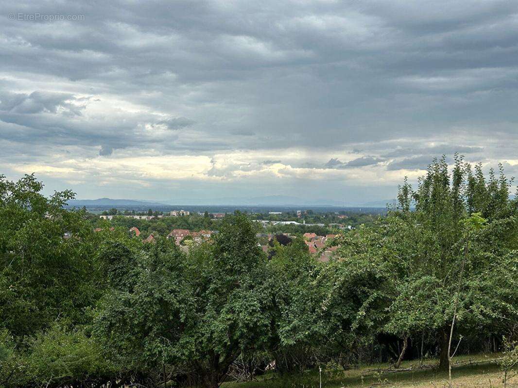 Terrain à SOULTZ-HAUT-RHIN