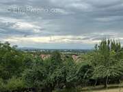 Terrain à SOULTZ-HAUT-RHIN