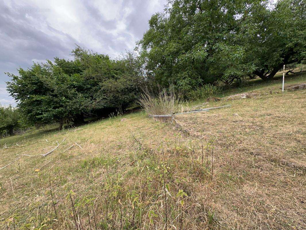 Terrain à SOULTZ-HAUT-RHIN