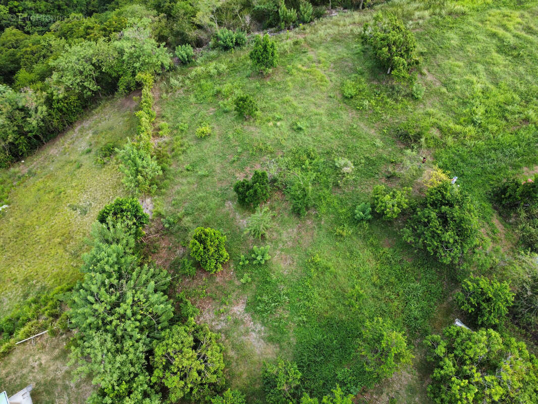 Terrain à LE CARBET