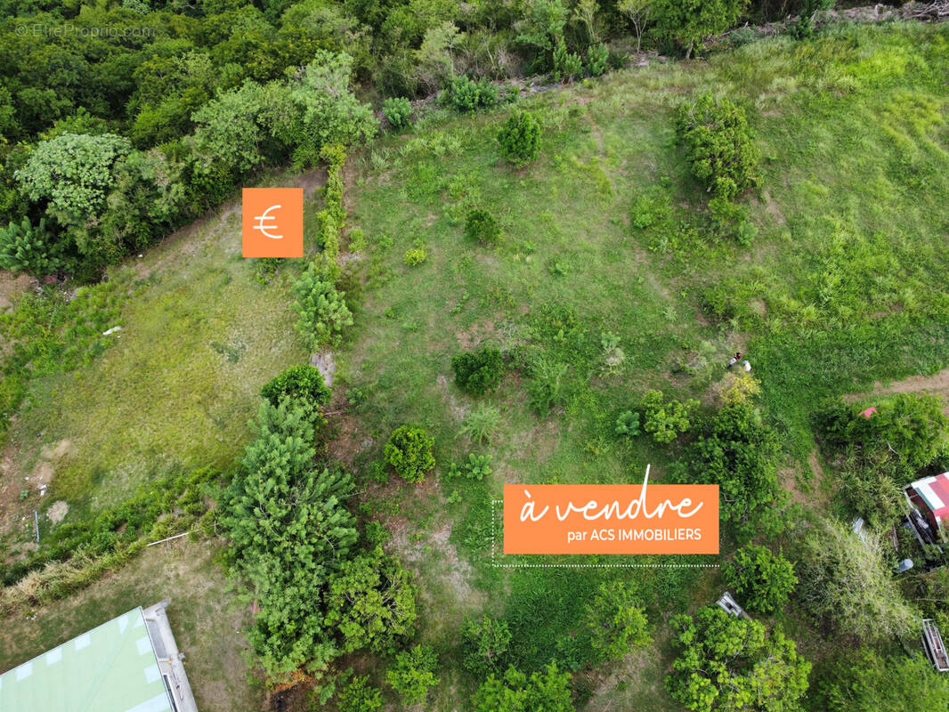 Terrain à LE CARBET