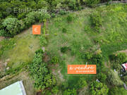 Terrain à LE CARBET