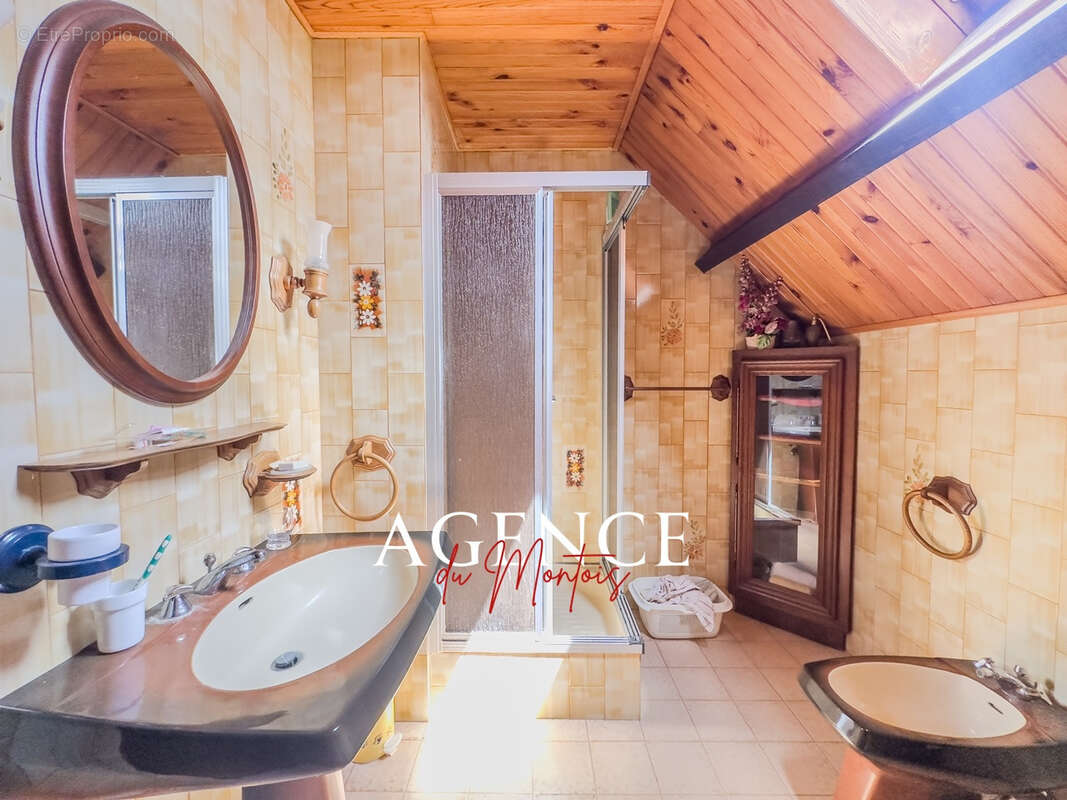 Maison à THORIGNY-SUR-OREUSE