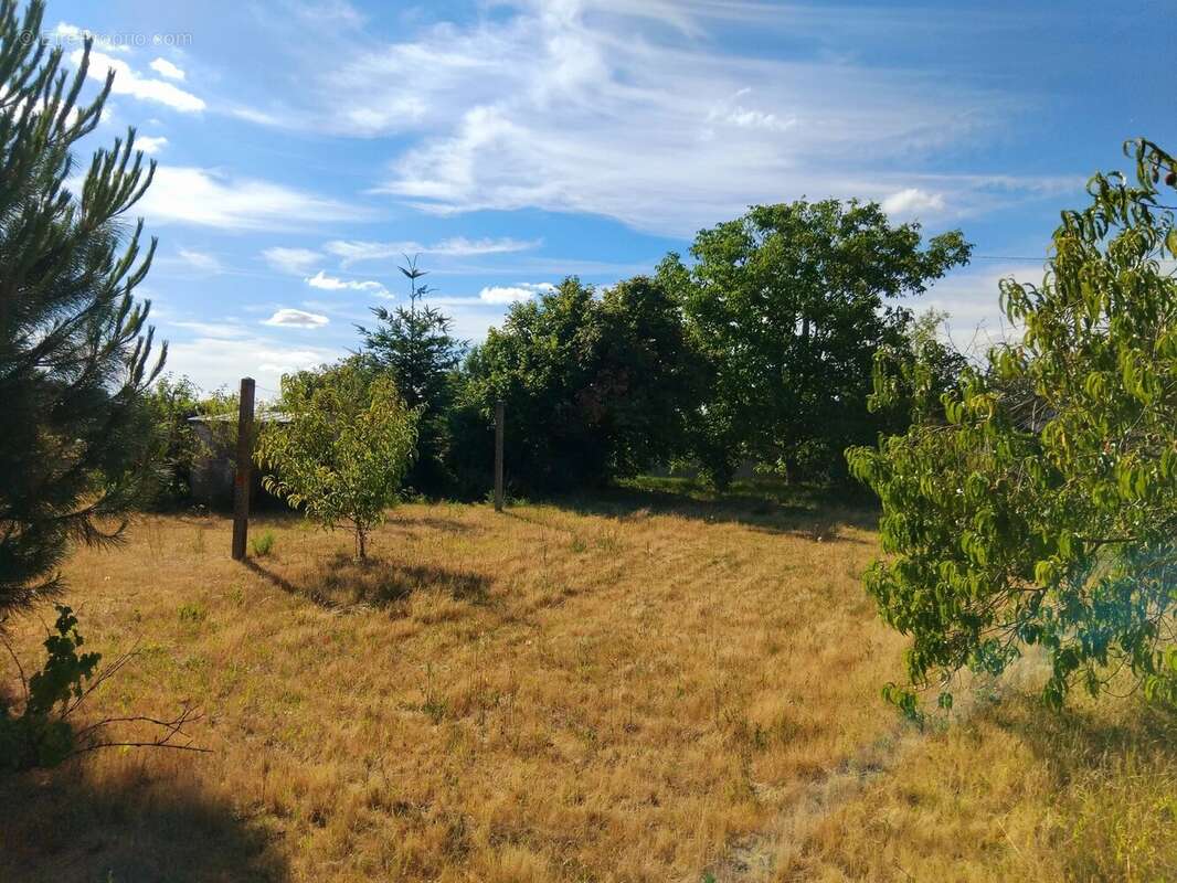 Terrain à CLERY-SAINT-ANDRE