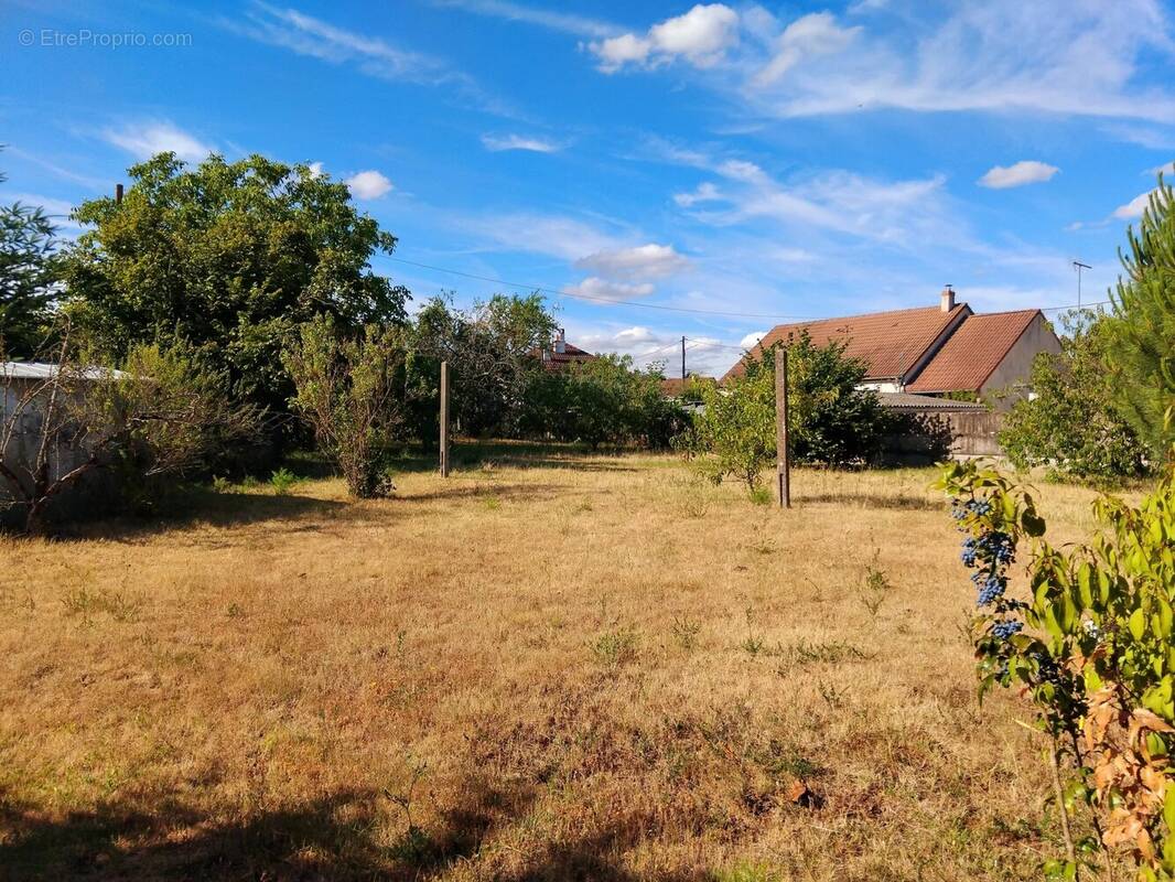 Terrain à CLERY-SAINT-ANDRE