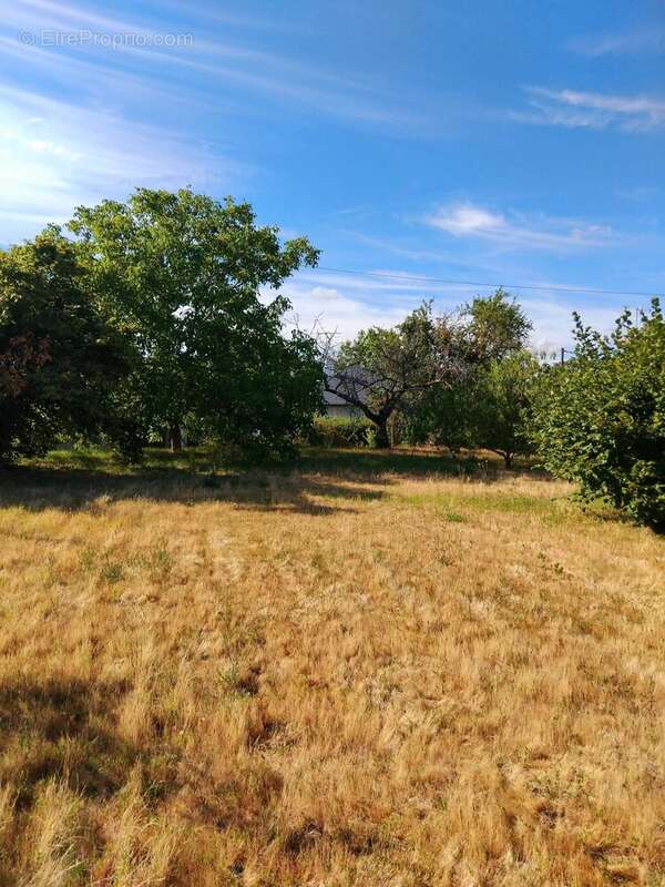 Terrain à CLERY-SAINT-ANDRE