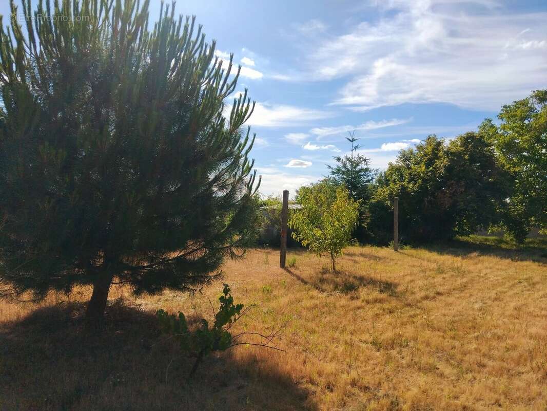 Terrain à CLERY-SAINT-ANDRE