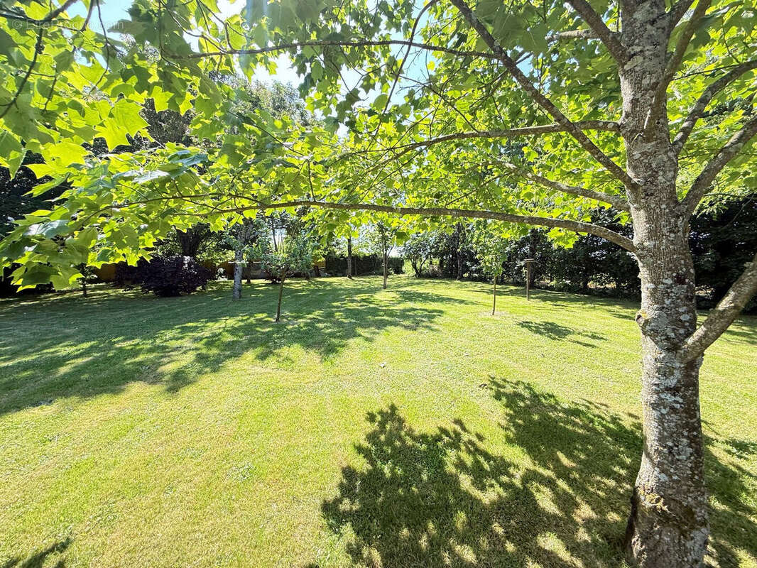 Photo 6 - Maison à BENET