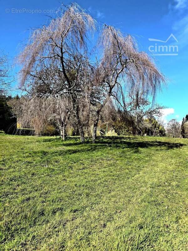 Maison à QUARRE-LES-TOMBES
