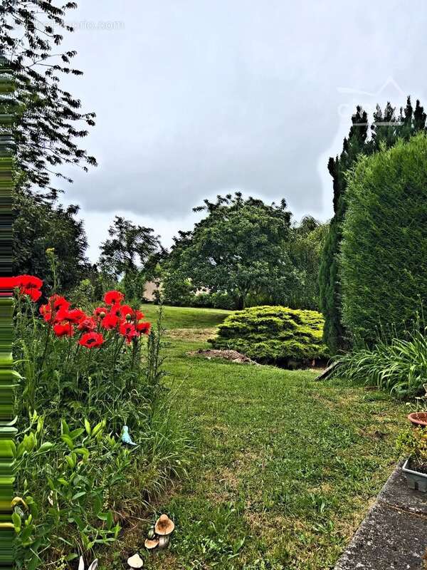 Maison à QUARRE-LES-TOMBES