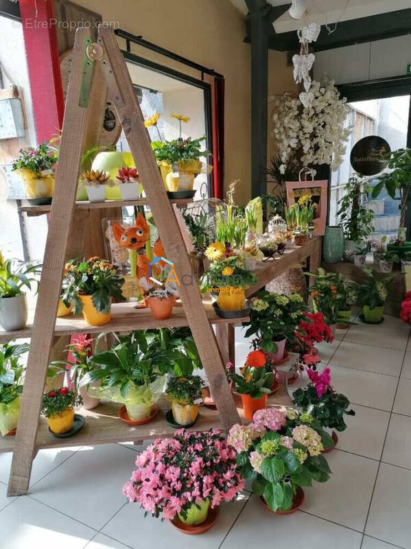 Commerce à DUN-SUR-AURON