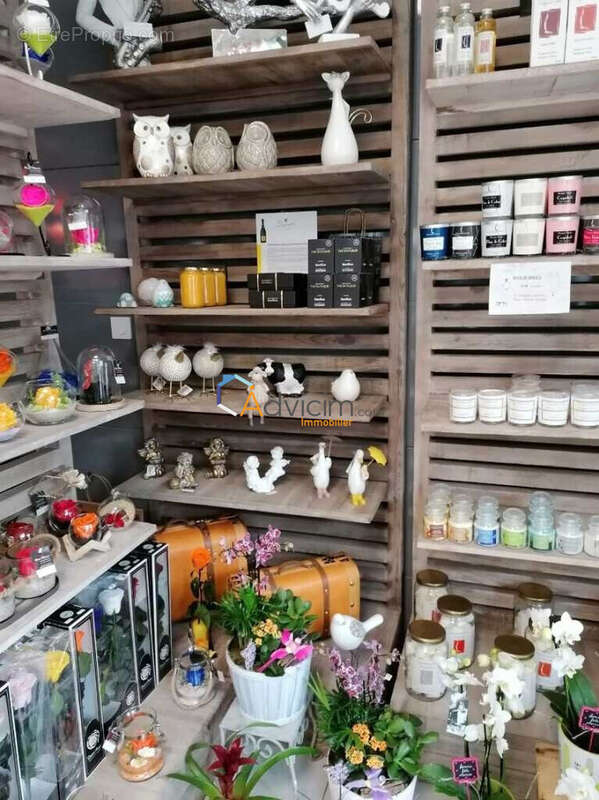 Commerce à DUN-SUR-AURON