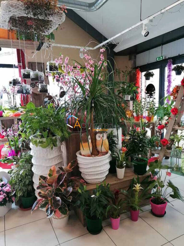 Commerce à DUN-SUR-AURON