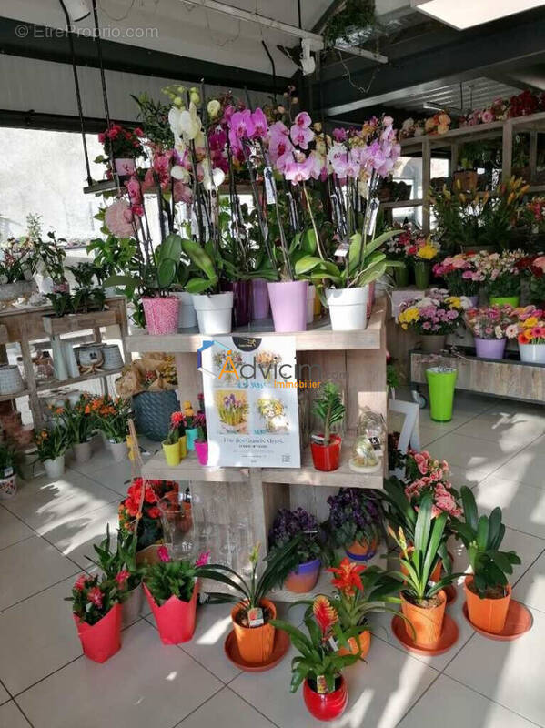 Commerce à DUN-SUR-AURON