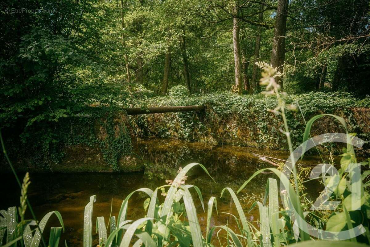 Maison à MOURON-SUR-YONNE