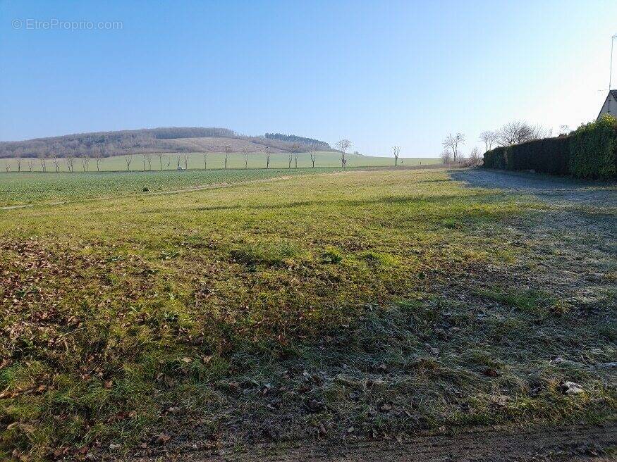 Terrain à MEZIERES-EN-SANTERRE