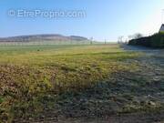 Terrain à MEZIERES-EN-SANTERRE