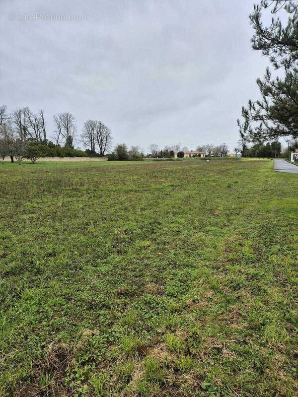 Terrain à MORCOURT