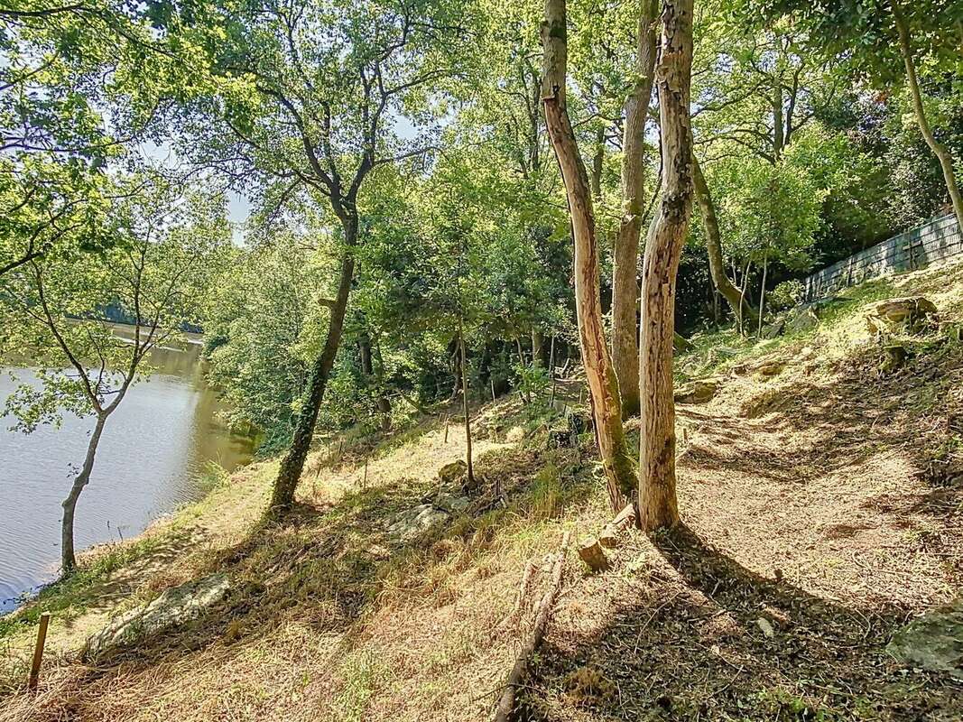 Terrain à CHATEAU-GUIBERT