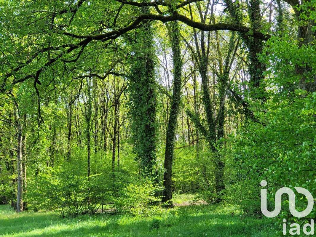 Photo 4 - Terrain à ANTRAN