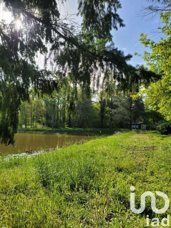 Photo 5 - Terrain à ANTRAN