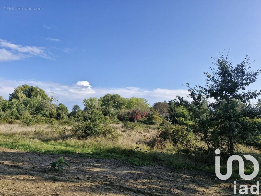 Photo 1 - Terrain à MONTCARET