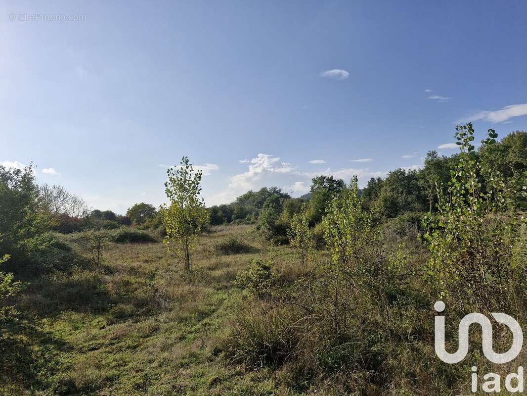 Photo 3 - Terrain à MONTCARET