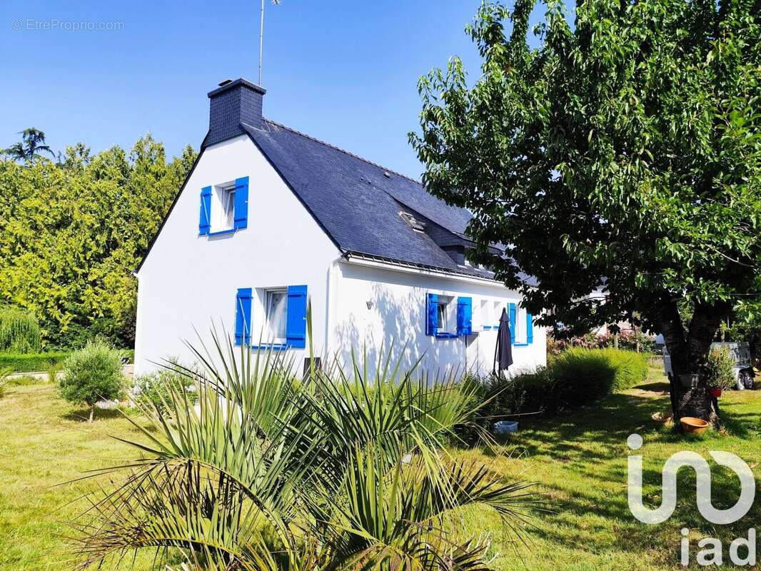 Photo 4 - Maison à NOYAL-MUZILLAC