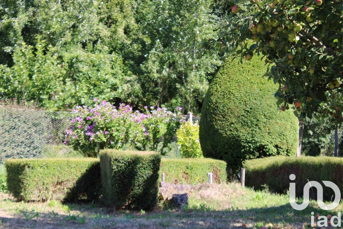 Photo 4 - Terrain à PONTLEVOY