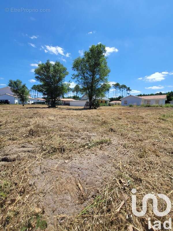 Photo 5 - Terrain à VIELLE-SAINT-GIRONS