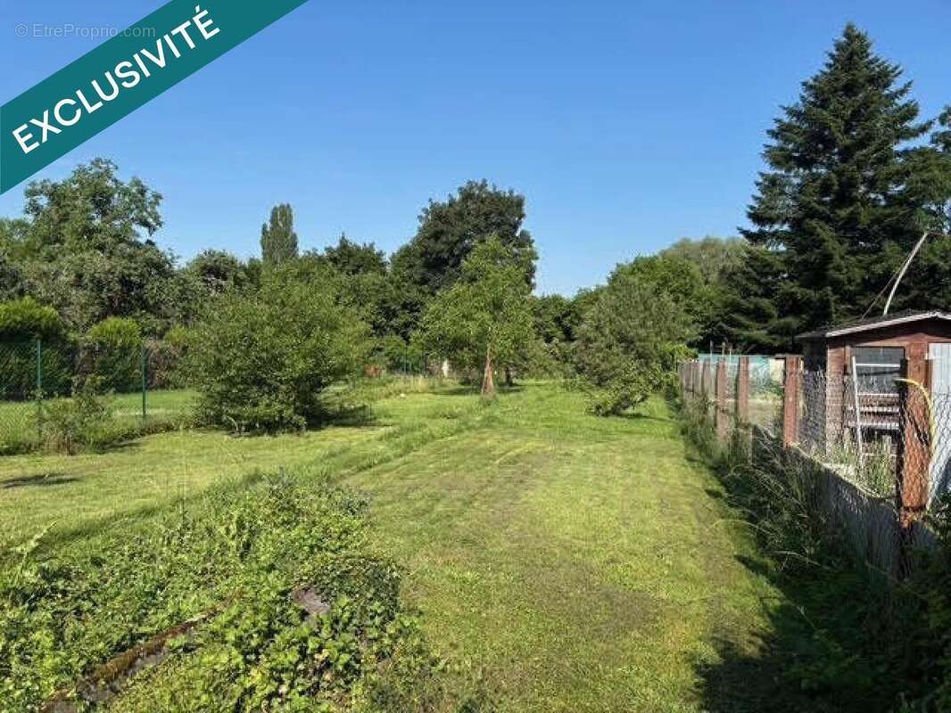 Photo 3 - Maison à SARRALBE