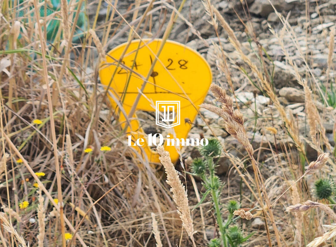 Maison à LE MAY-SUR-EVRE