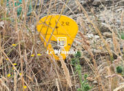 Maison à LE MAY-SUR-EVRE