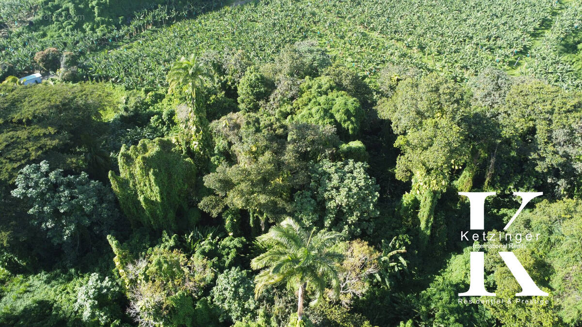 Terrain à TROIS-RIVIERES