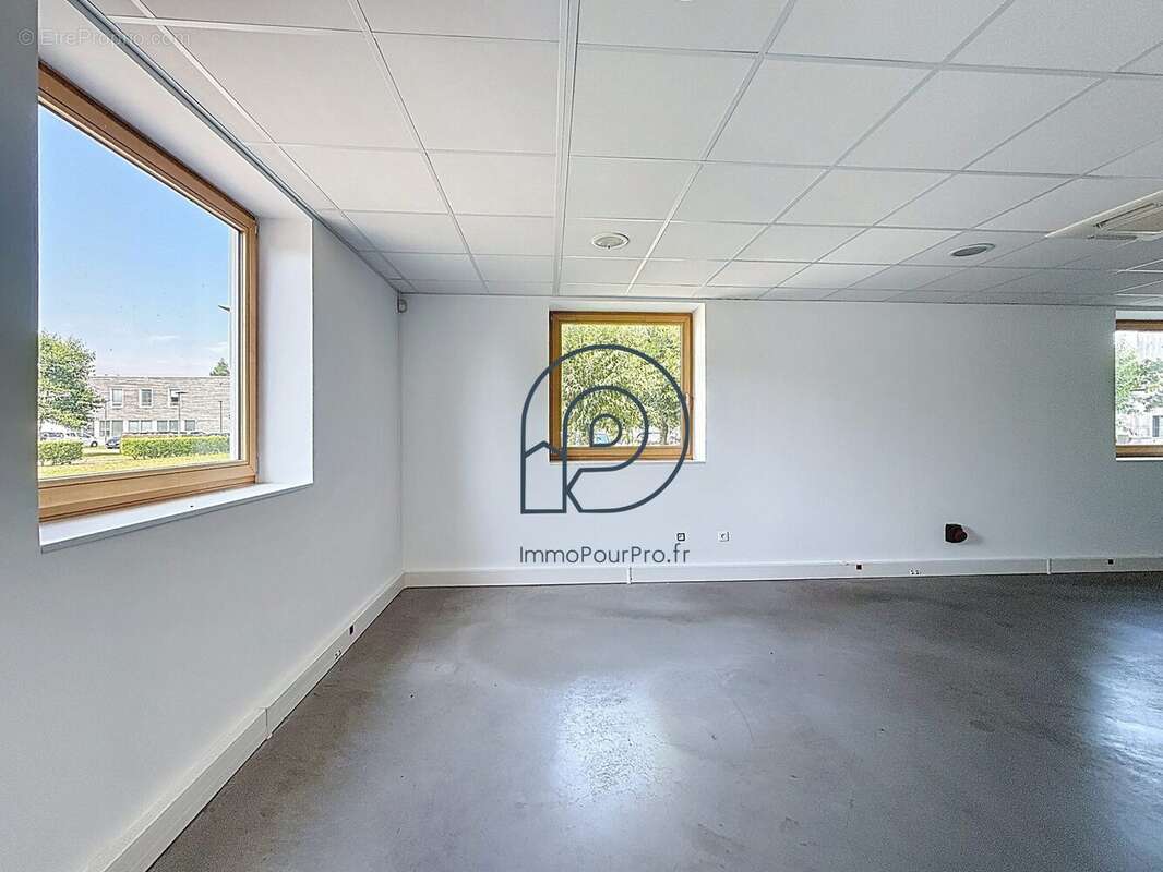 Commerce à VILLENEUVE-D&#039;ASCQ