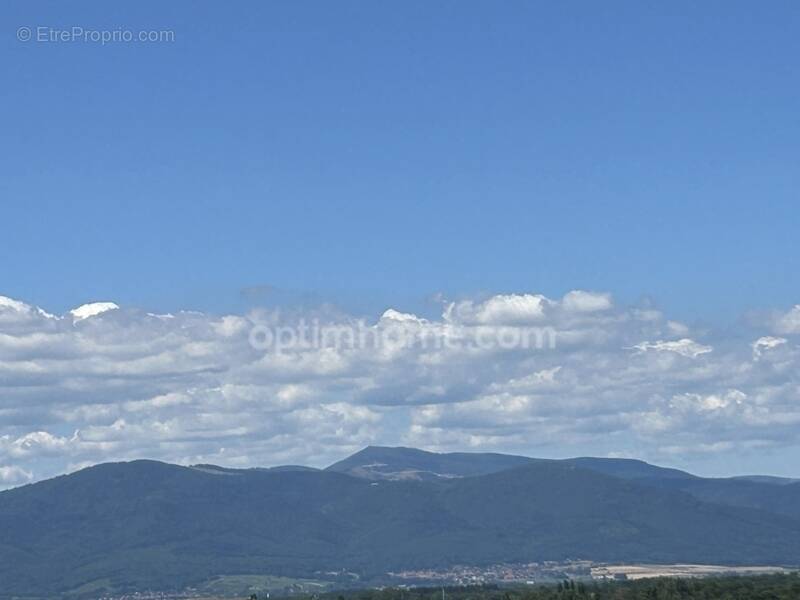 Appartement à MULHOUSE