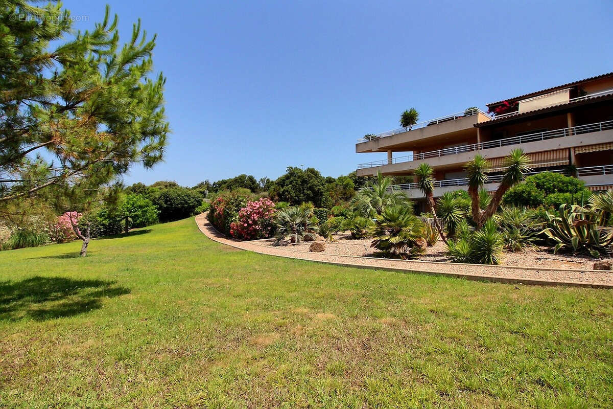 Appartement à PIETROSELLA