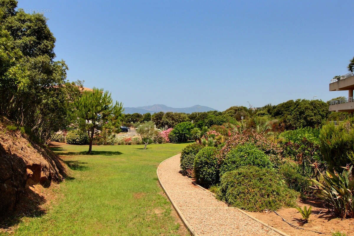 Appartement à PIETROSELLA