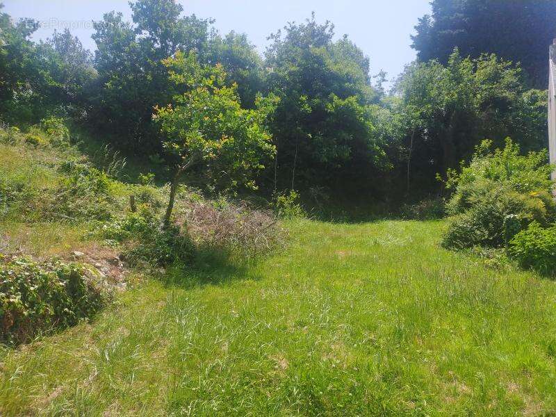 Terrain à PONT-L&#039;ABBE