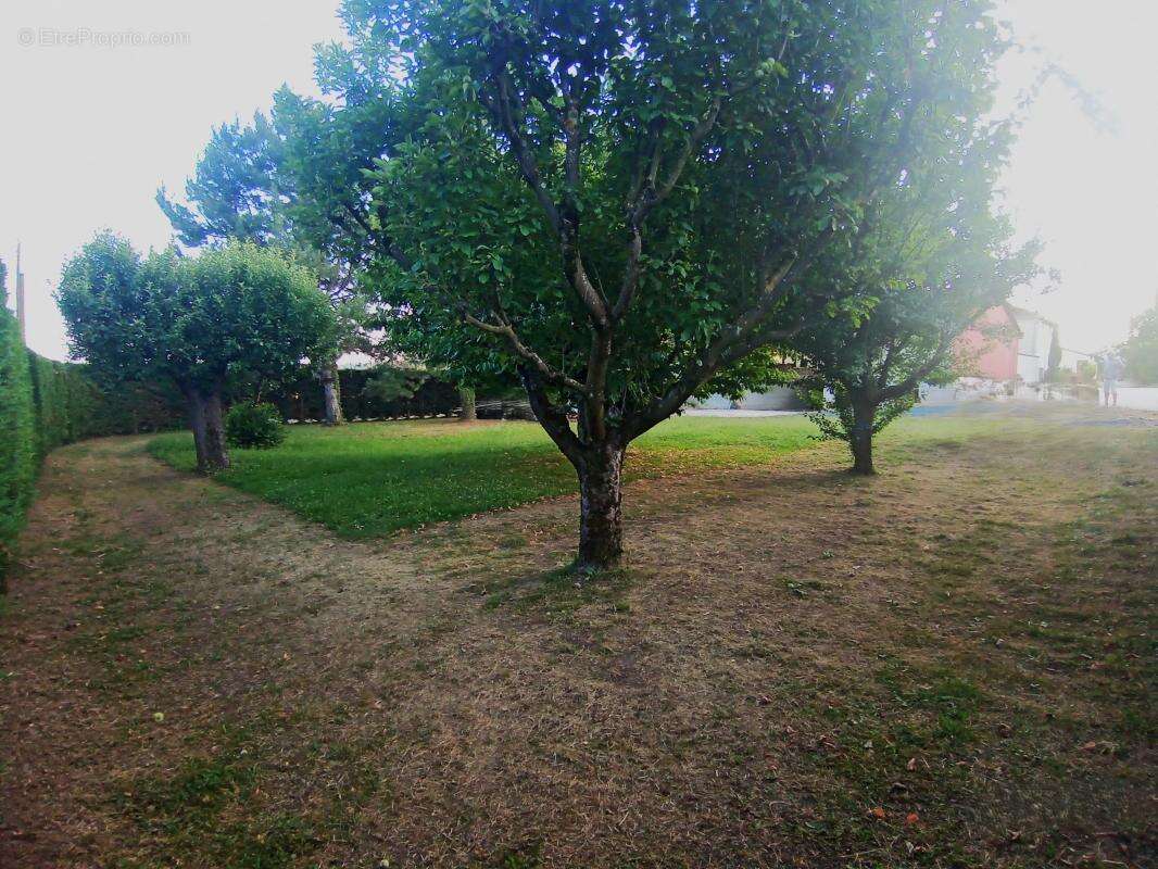 Terrain à SAINT-UZE