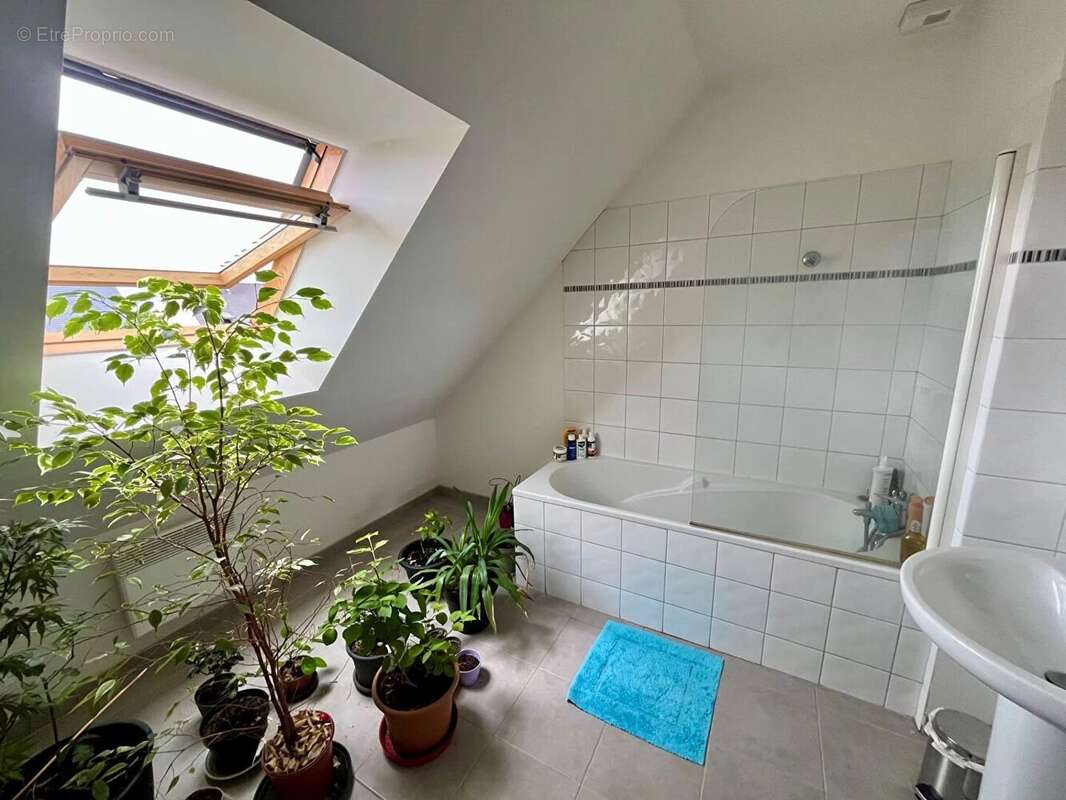 Maison à POCE-LES-BOIS