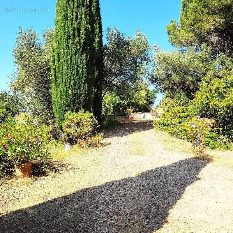 Photo 3 - Maison à MONTAGNAC