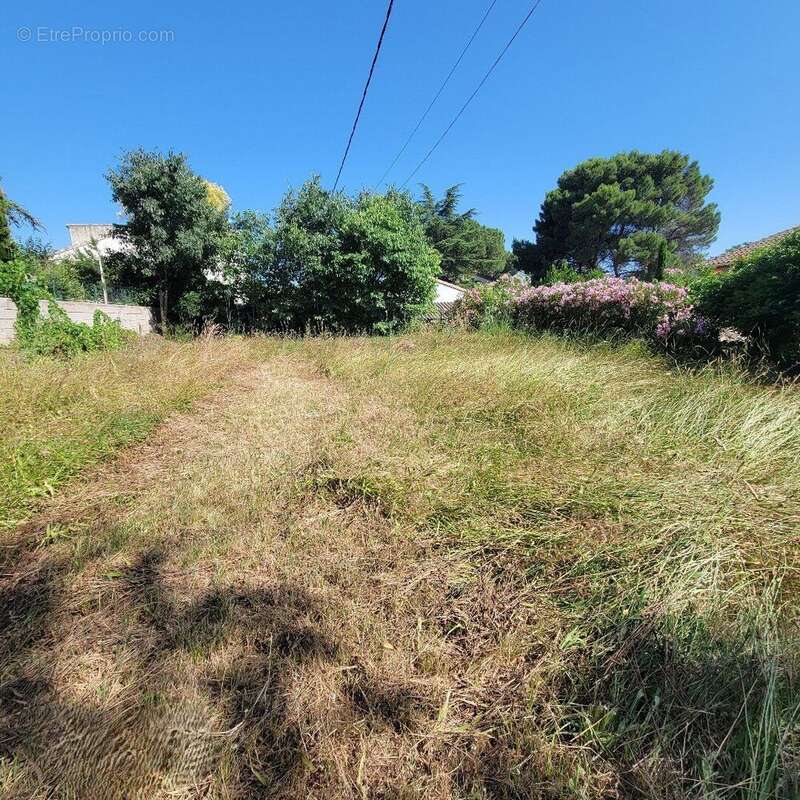 Photo 7 - Maison à MONTAGNAC