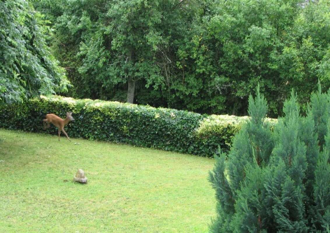 Maison à GROSBLIEDERSTROFF