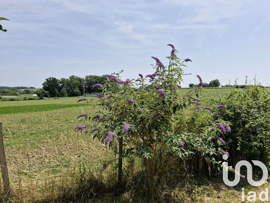 Photo 3 - Maison à SAINTE-RADEGONDE