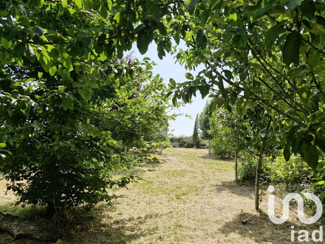 Photo 5 - Maison à SAINTE-RADEGONDE