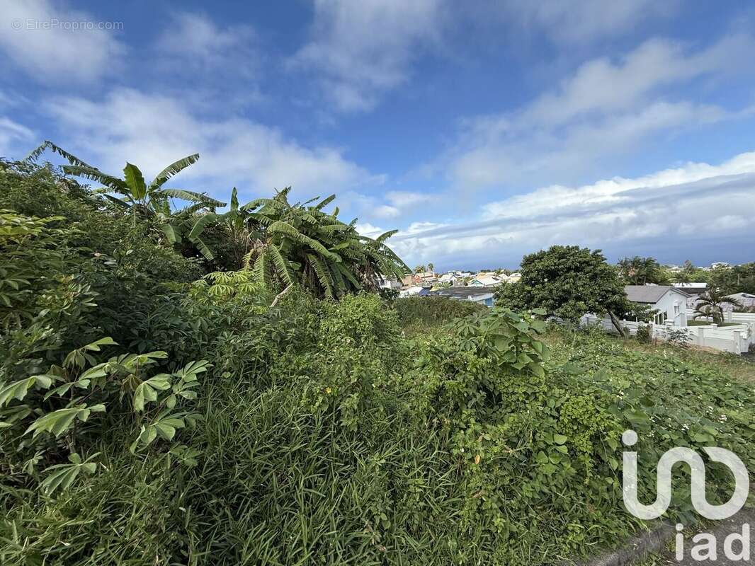 Photo 2 - Terrain à PETITE-ILE